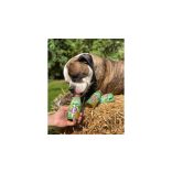 SmoothieDog - Zöldség smoothie kutyáknak 250 ml