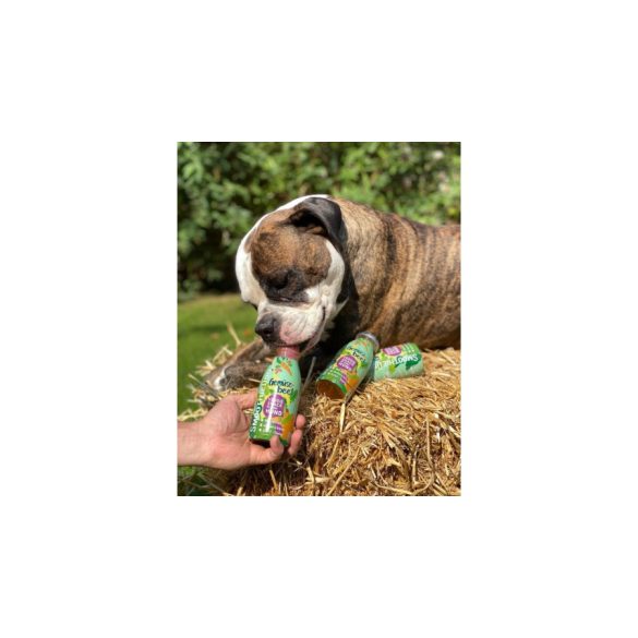 SmoothieDog - Zöldség smoothie kutyáknak 250 ml