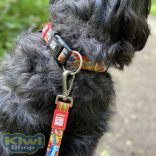 Max&Molly Heroes nyakörvek