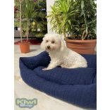 Kiwi Pet's winter blue fekhely 60x50cm