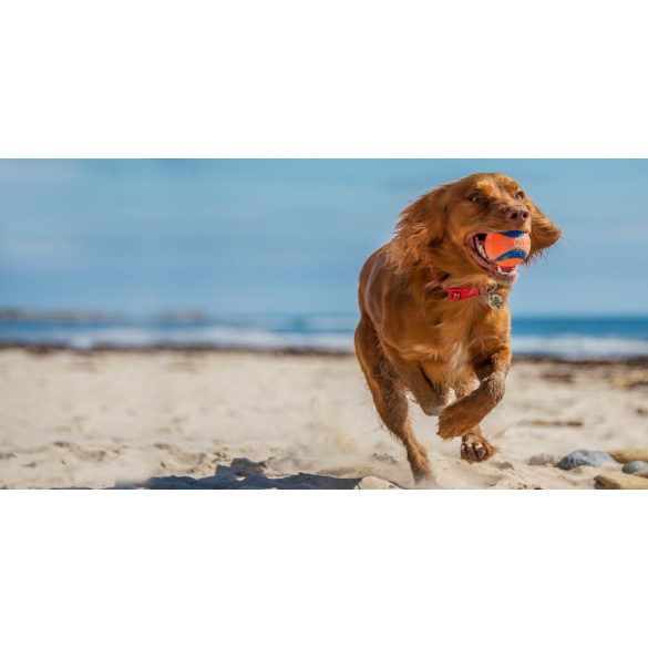 CHUCKIT! Ultra labda pakk S