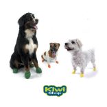 Pawz bio gumi kutyacipő