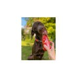 SmoothieDog - Marhahús smoothie menü kutyáknak 250 ml