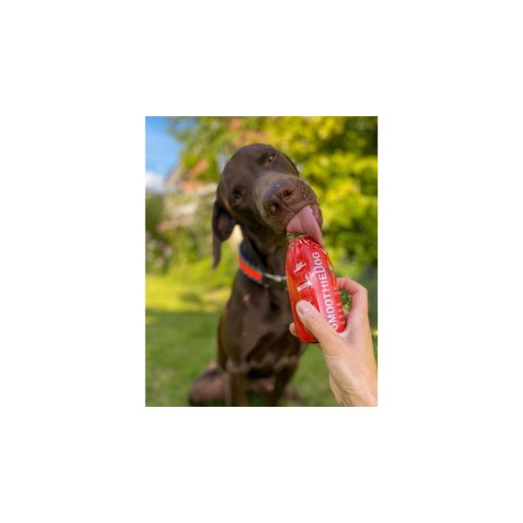 SmoothieDog - Marhahús smoothie menü kutyáknak 250 ml