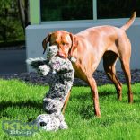 KONG® Stretchezz™ Jumbo Leopárd 60 cm