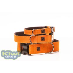   Narancssárga vízálló nyakörv - Delight's Dog Design 
