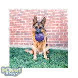 Kong Flexball 15cm 