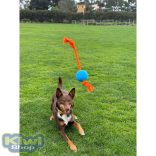 DOOG Fetchables - Fetch & Tug Ball