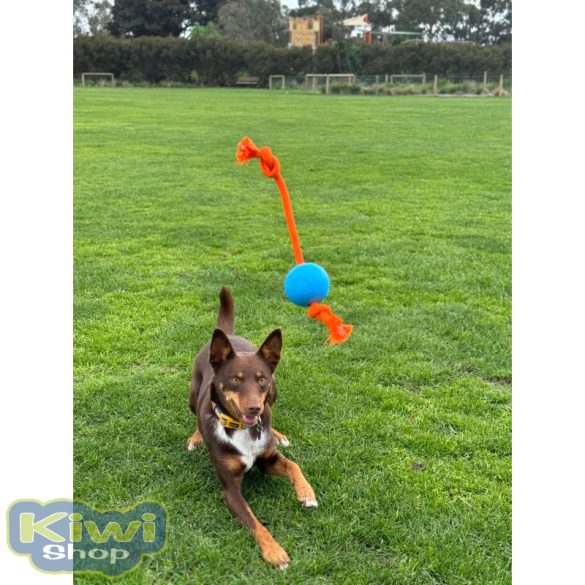 DOOG Fetchables - Fetch & Tug Ball