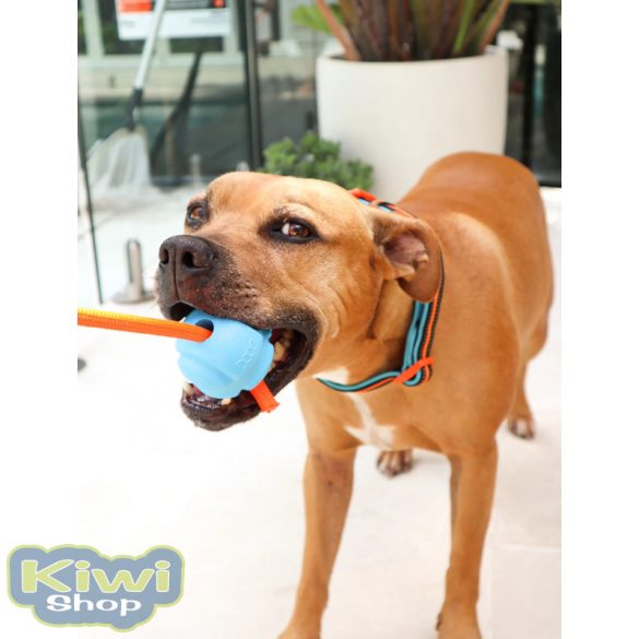 DOOG Fetchables - Fetch & Tug Ball
