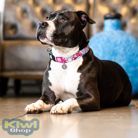 Max&Molly Cherry Bloom nyakörvek