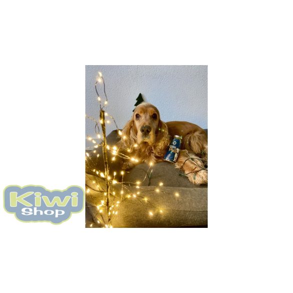 SmoothieDog - Pulykahús smoothie menü kutyáknak 250ml XMAS Edition