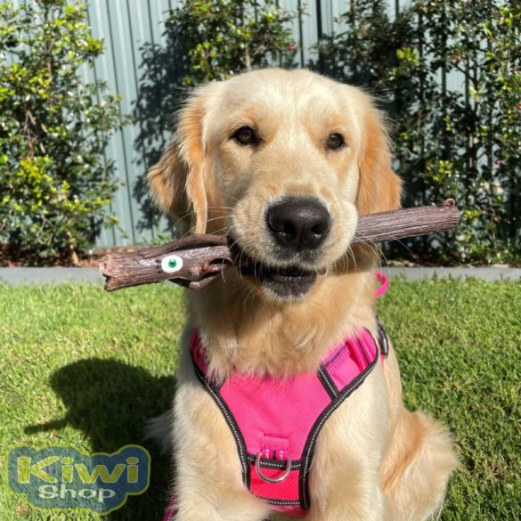 Doog Stick Family Toys - Willow 28x3cm