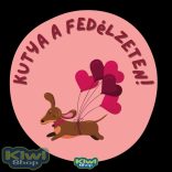 Kutya a fedélzeten autós matricák több féle ÚJ