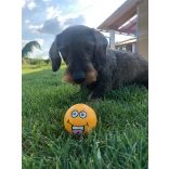 Camon smiley labdák latex 6 cm