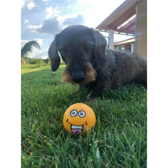 Camon smiley labdák latex 6 cm