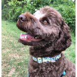 Mixnature nyakörv - geometriai