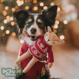 HUNTER BIRKA Szarvas Kutyajáték 27 cm