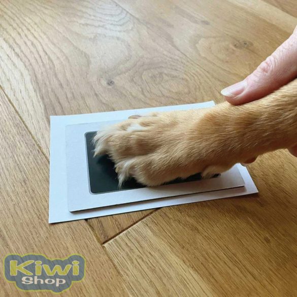 Tappancslenyomat tintapad készlet kis- és közepes testű kedvenceknek