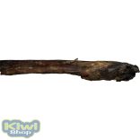 Teomann extra hosszú bikacsök