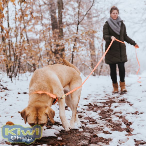 Hunter Convenience 15/1200 keresőpóráz - türkiz