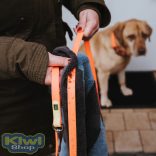 Hunter Convenience 15/1200 keresőpóráz - türkiz