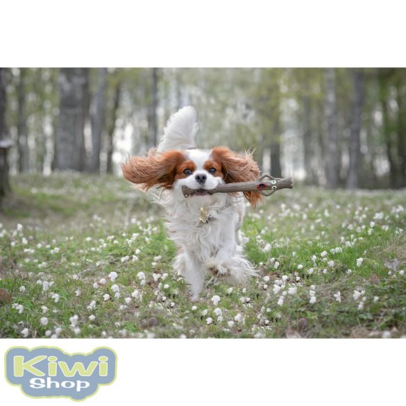 Doog Stick Family Toys - Uncle Chuck 36x3,5cm