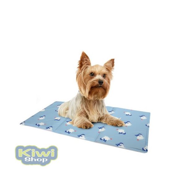 HŰSÍTŐ MATRAC 90X50CM