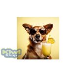 SmoothieDog - Nyúlhús smoothie kutyáknak 250 ml - Summer Edition