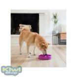 Fun Feeder Slo Bowl M, Lila evéslassító tál