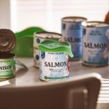 MSC lazac leves kutyáknak 