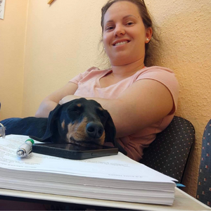 Egy új felyezet kezdete… kutya-fizioterapeuta lettem!