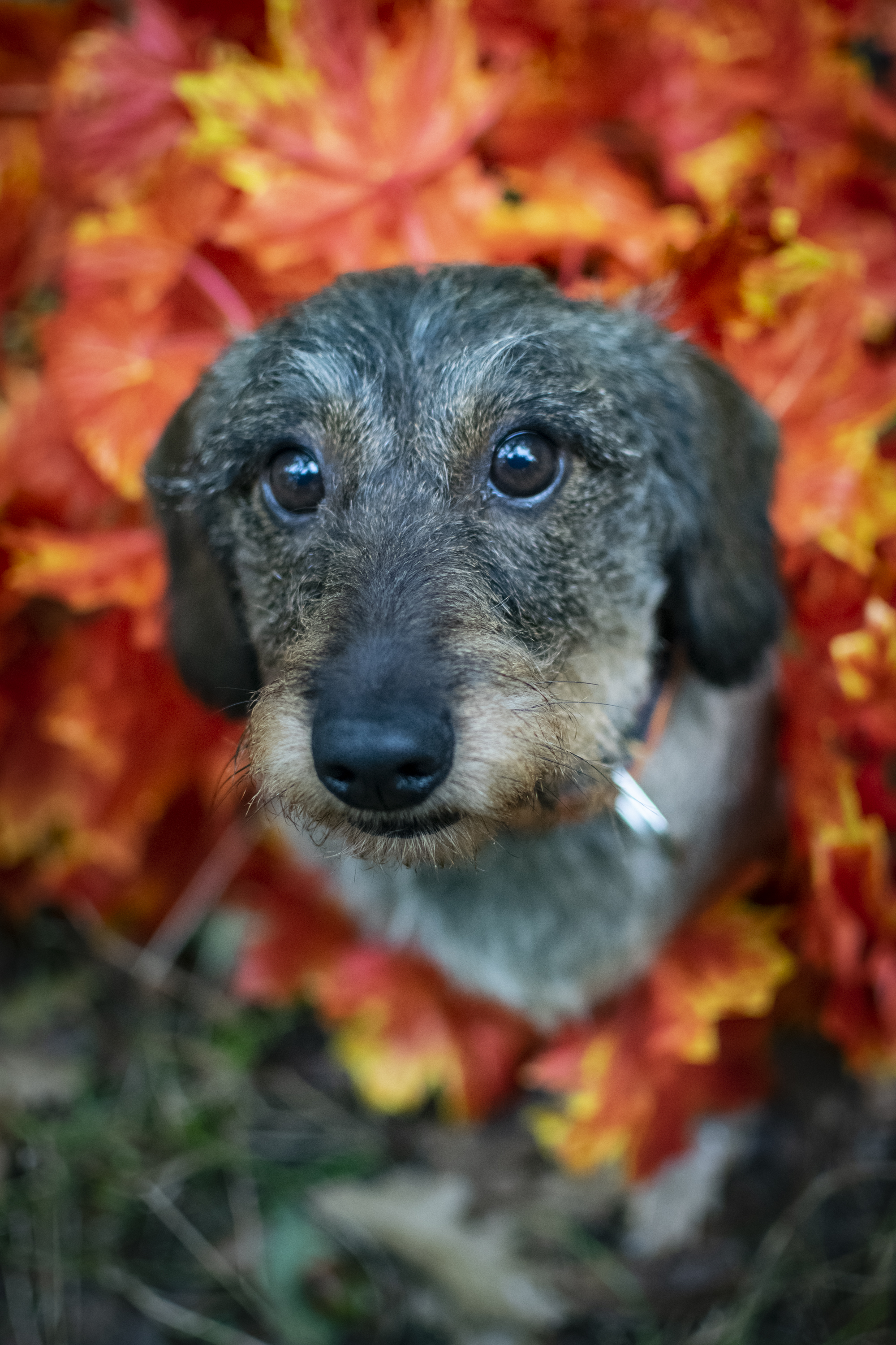 5 dolog, amit érdemes az őszre beszerezned