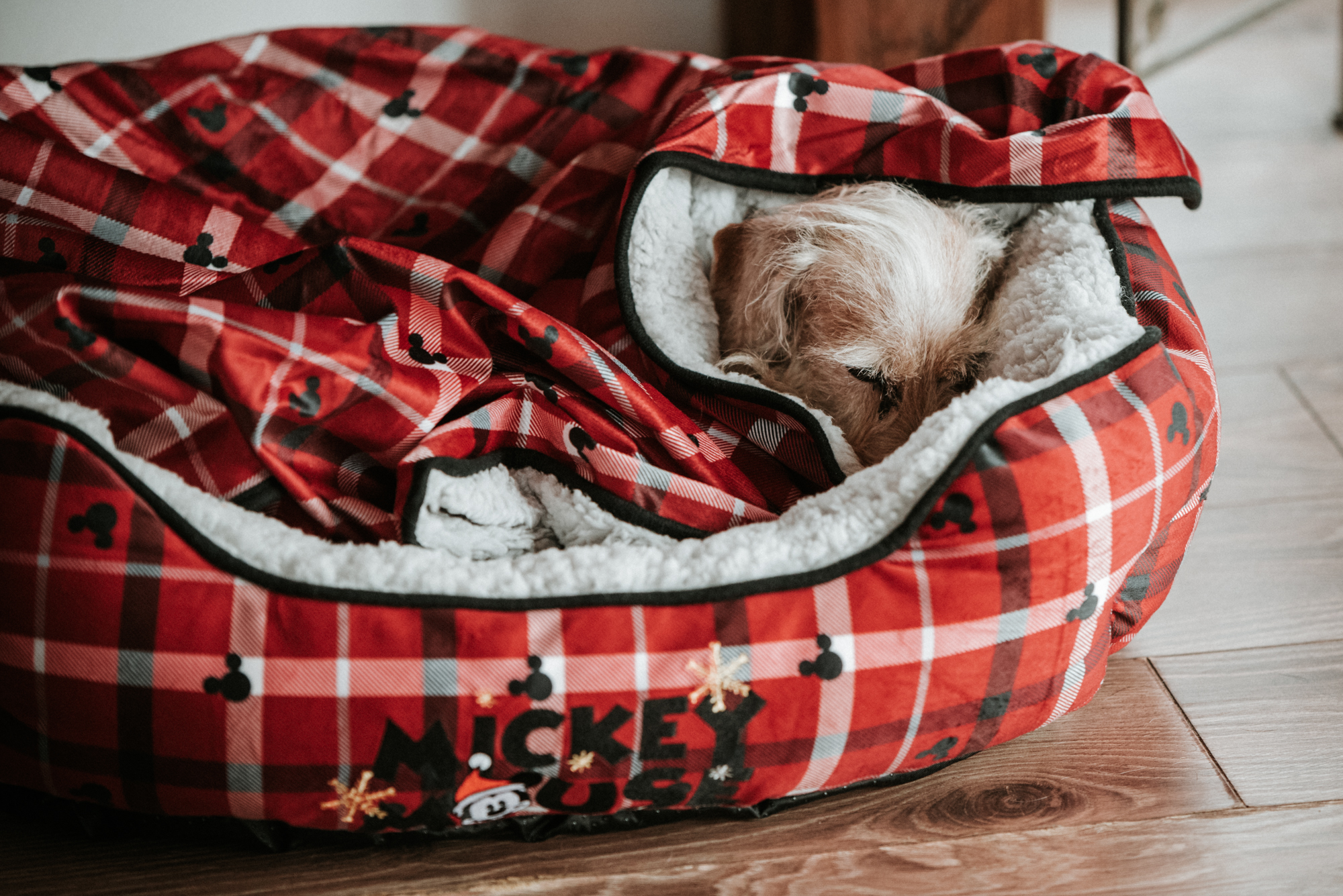 Február - az év legnehezebb hónapja